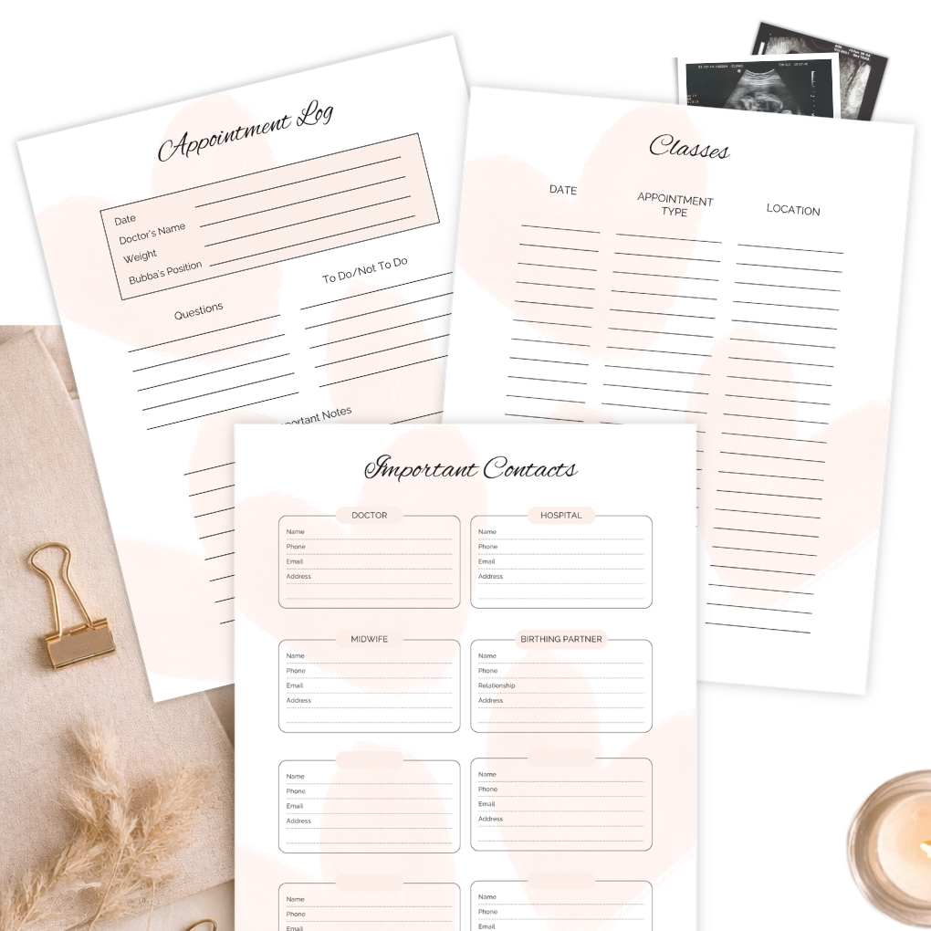 Pregnancy Journal content pages, Appointment log, classes, important contacts, Pregnancy Gift. Mama and Bubba. Uk 